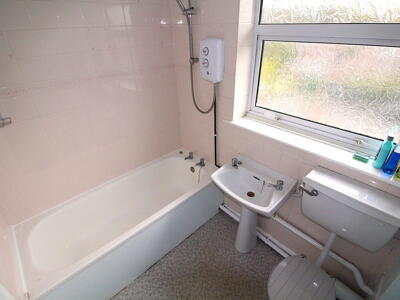 Picture 7